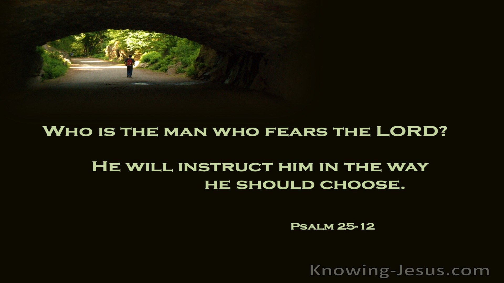Psalm 25:12 Who Is The Man Who Fears God (green)